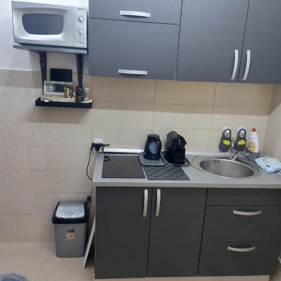 Apartman Pozoriste Penthaus バニャ・ルカ エクステリア 写真