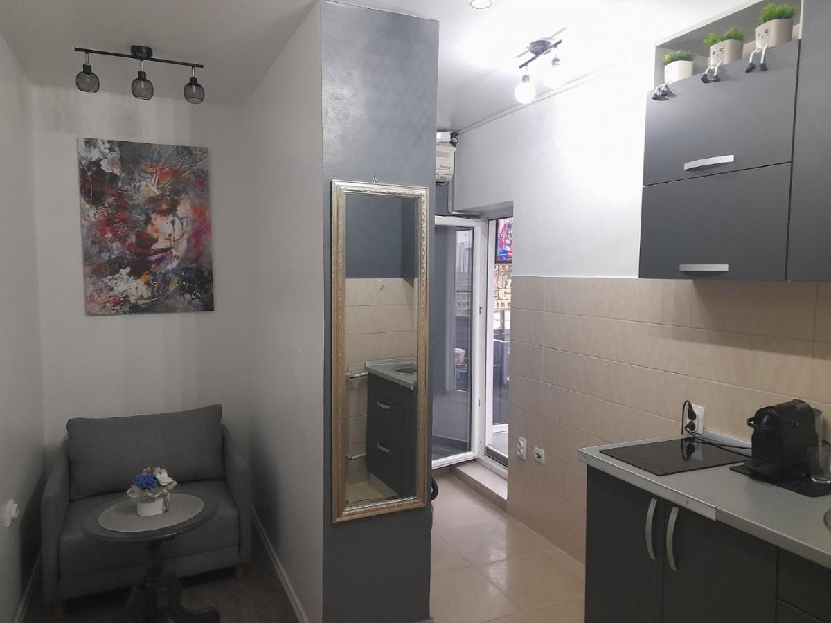 Apartman Pozoriste Penthaus バニャ・ルカ エクステリア 写真