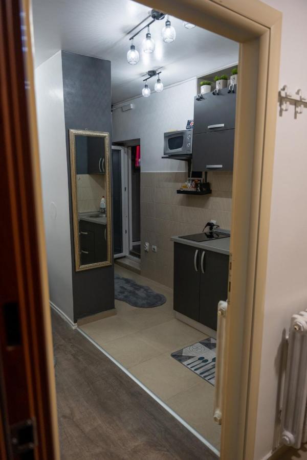 Apartman Pozoriste Penthaus バニャ・ルカ エクステリア 写真