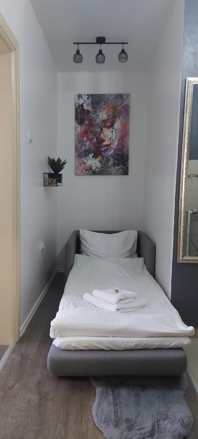 Apartman Pozoriste Penthaus バニャ・ルカ エクステリア 写真